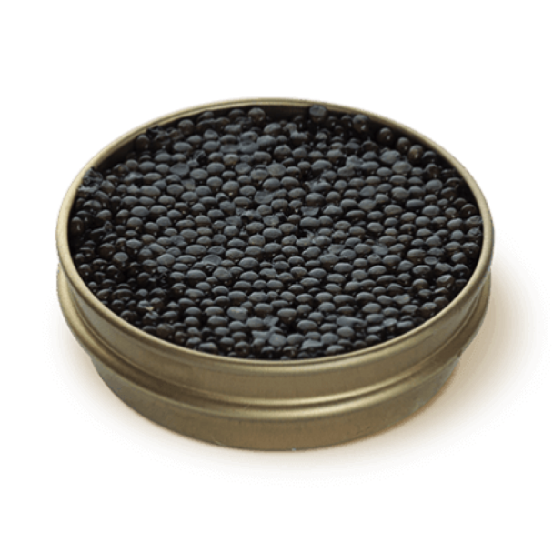 caviar can