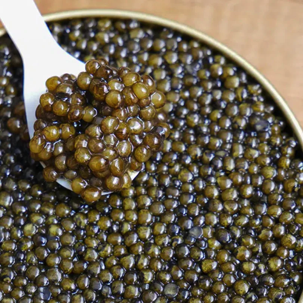 Ossestra Caviar